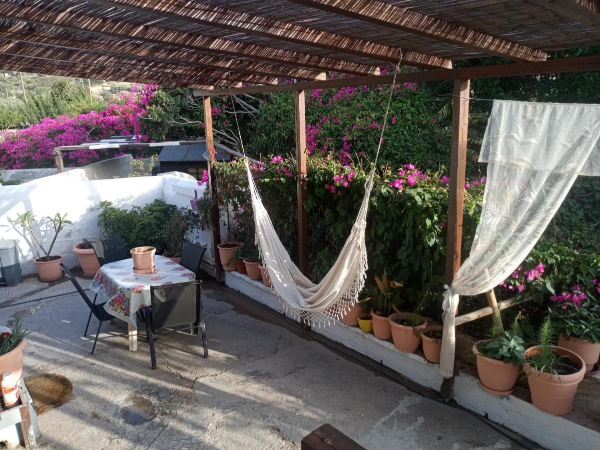 Katerina'S Apartments 金尼昂 外观 照片